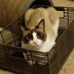 Meet your Posher, Michelle